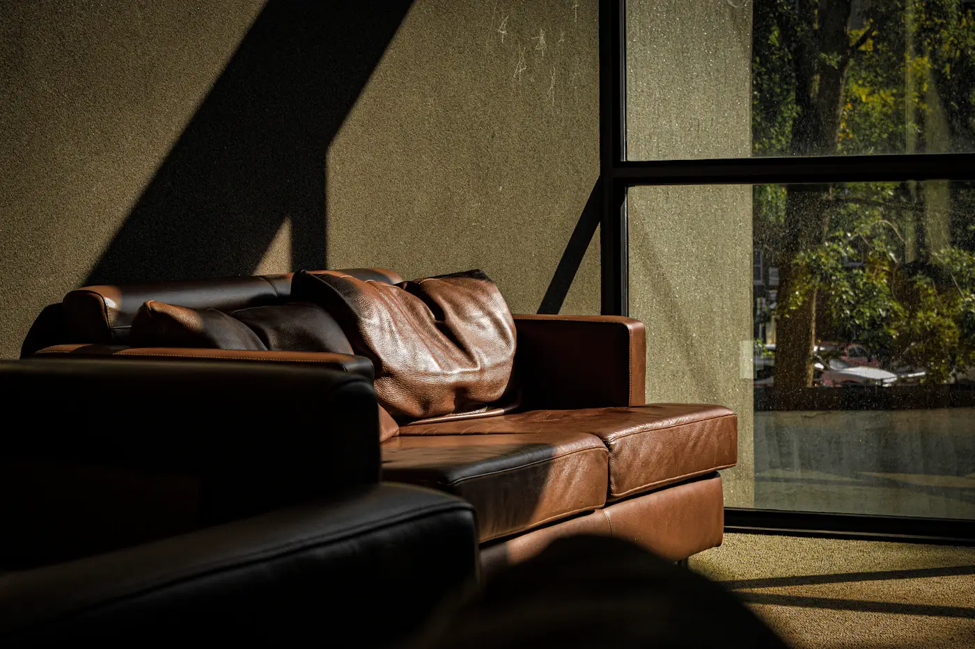 A dark leather sofa in afternoon light