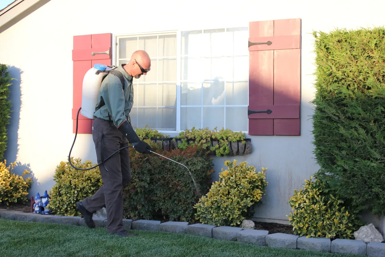 A Brazos Shield technician treating the flower beds around a home