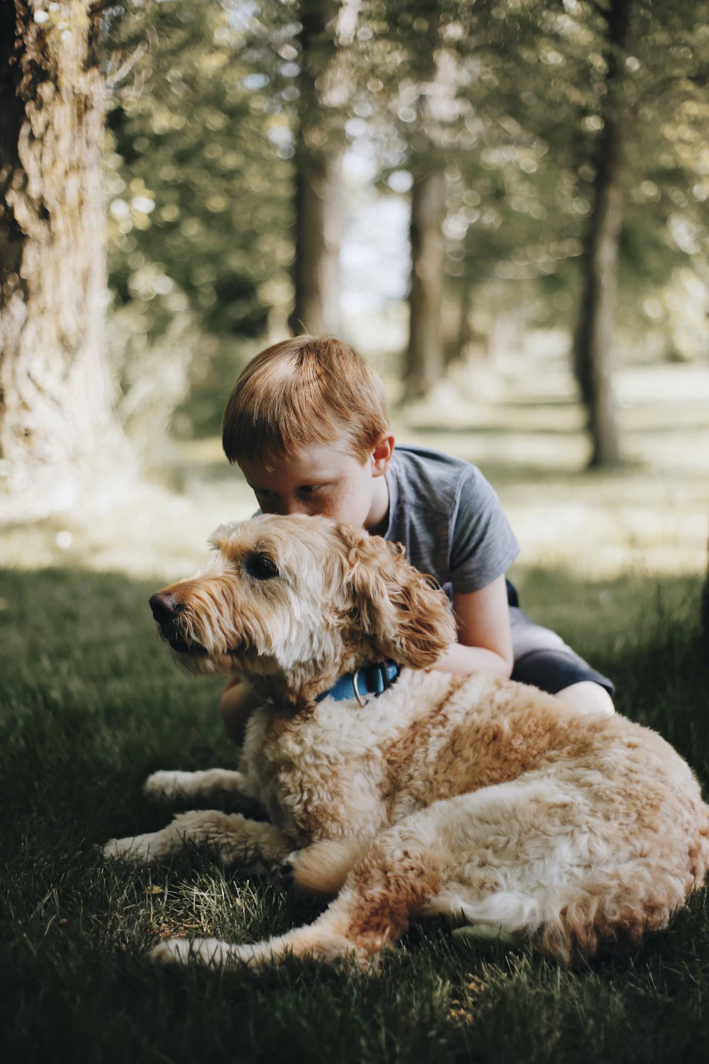 A boy kissing a golden retriever lying on the grass