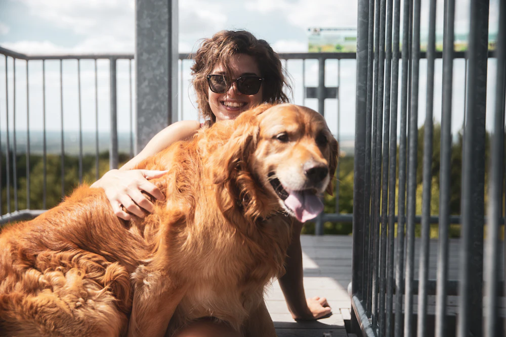 A woman hugging a big golden retriever beside a gate